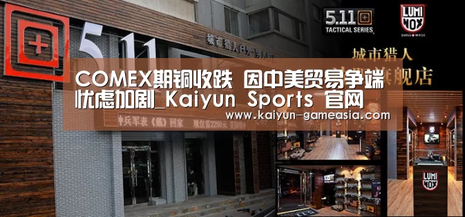 开云体育登录入口