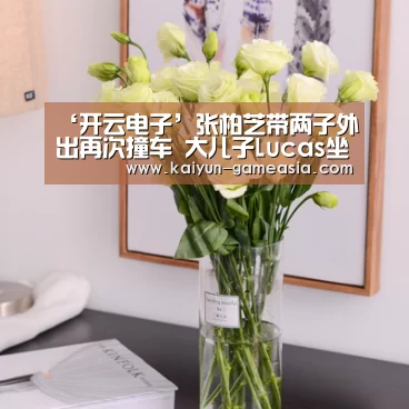 开云电子